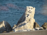 The Ballygally polar bear
