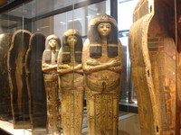 Egyption Exhibit