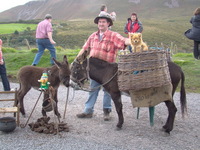 Gypsy Tinker, atop the peat bog field hill