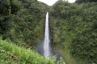 Akaka Falls