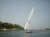 Sailing a felucca