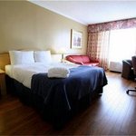 Tryp Reina Victoria Hotel