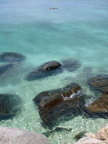 25cde6b29b393cc3633ddb2d363fb722