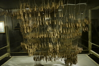 Gaudy upside down design process