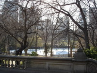 Ice Skating In Central Park