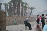 The Avenue of Sphinxes approaching Karnak Temple