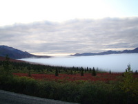 Early morning mist in Denali National Park