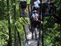Joe along the Tree Tops suspended walkway