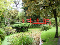 Bridge in theJapanese garden