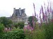The view of the Lourve through the lavender