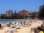 Manly Beach